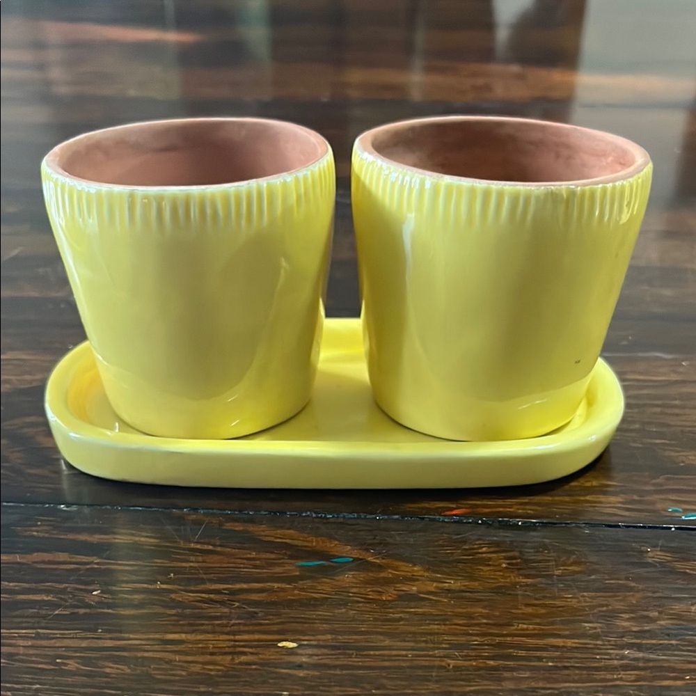 Pottery Barn Sunny 🌞 Yellow Ceramic Planter Duo